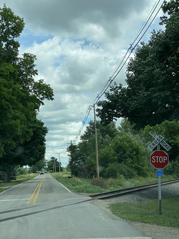 Elsie - July 12 2020 (newer photo)